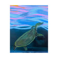 Spiney Soft-Shell Turtle Matte Poster — Reflections of the Rock River Mural Prints