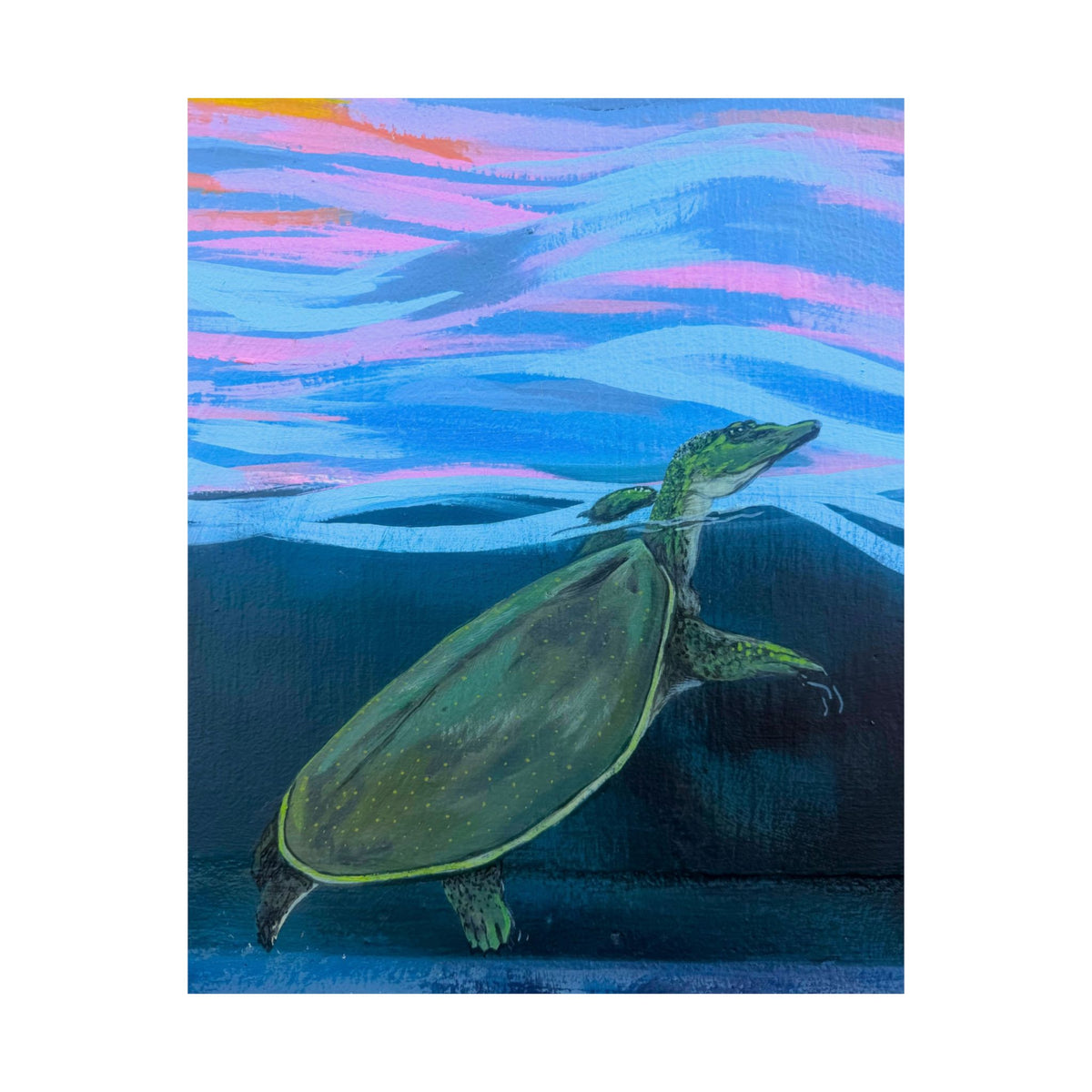 Spiney Soft-Shell Turtle Matte Poster — Reflections of the Rock River Mural Prints
