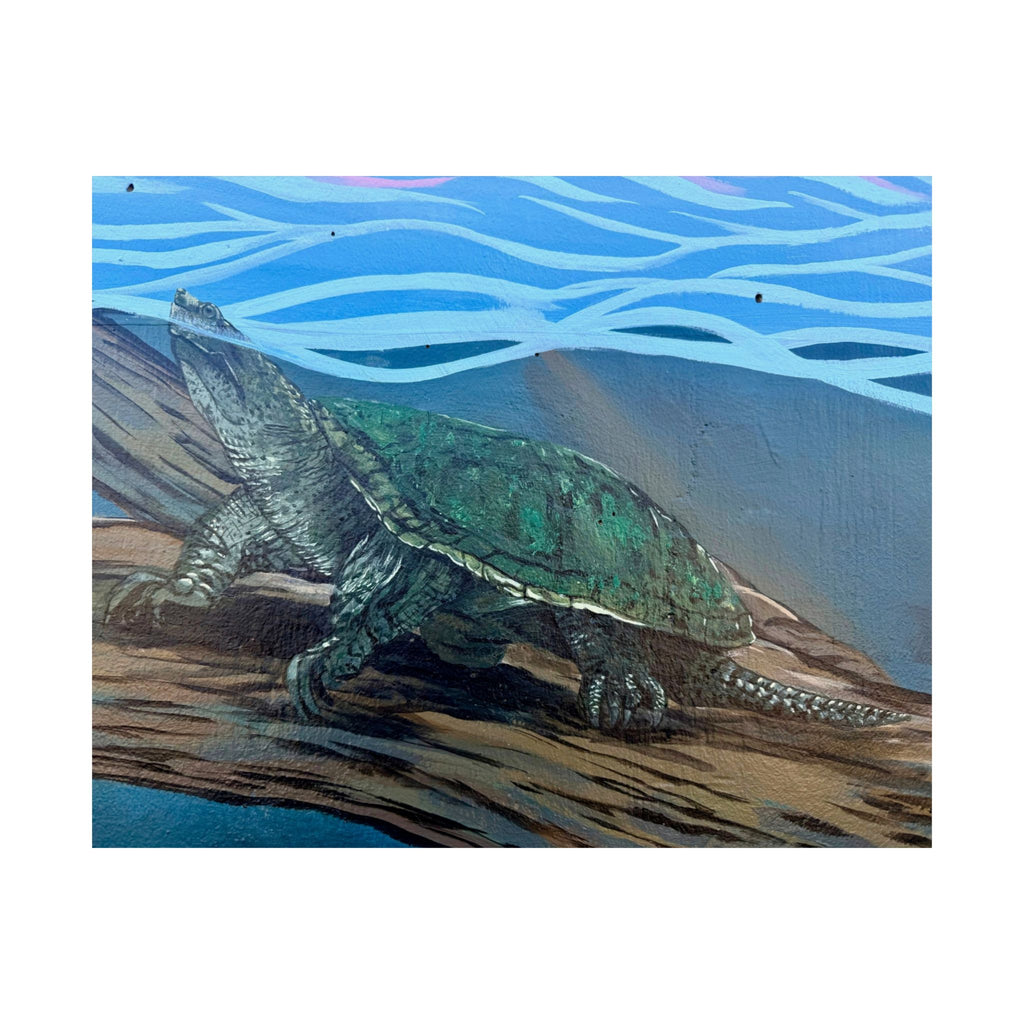 Snapping Turtle Matte Poster — Aquatic Wildlife Wall Art (Horizontal)