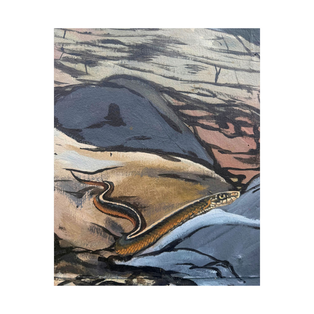 Garter Snake Rock Art Poster — Reflections of the Rock River Mural Prints