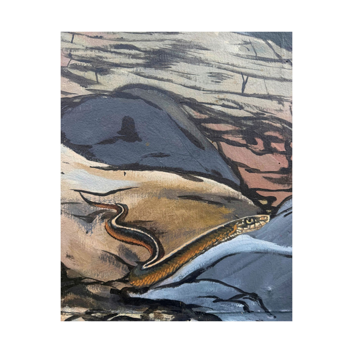 Garter Snake Rock Art Poster — Reflections of the Rock River Mural Prints