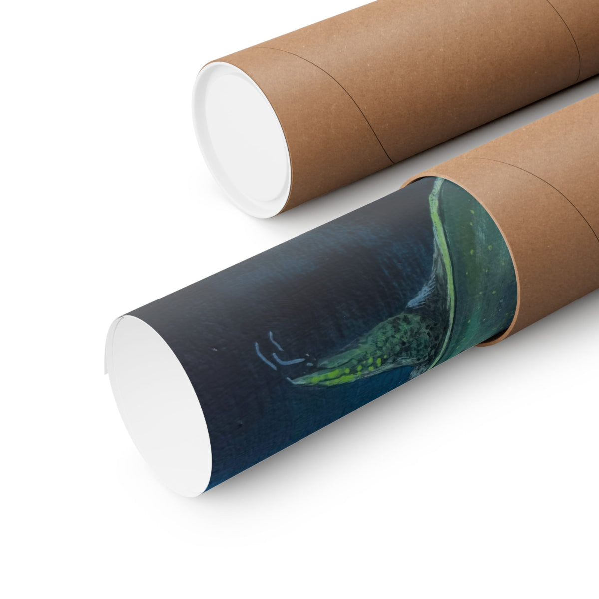Spiney Soft-Shell Turtle Matte Poster — Reflections of the Rock River Mural Prints