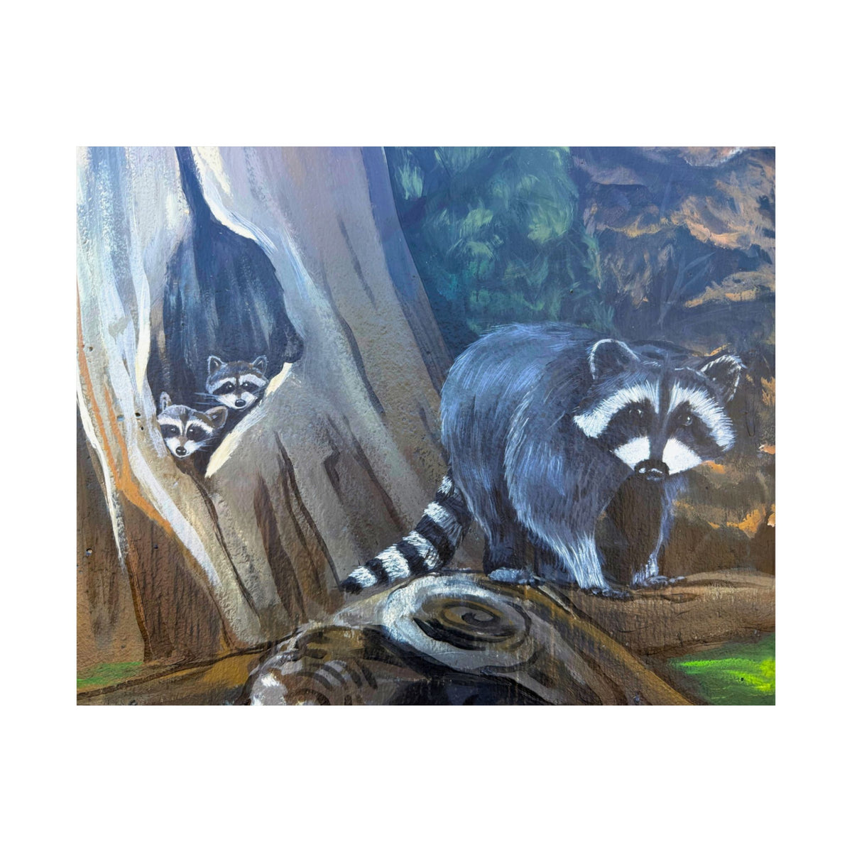 Raccoon Family Wildlife Forest Poster — Reflections of the Rock River Mural Prints