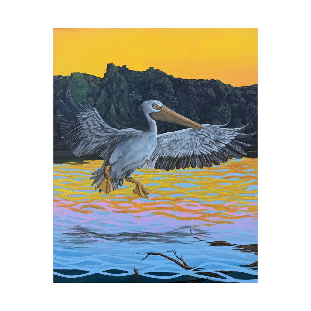 Pelican Sunset Coastal Wildlife Poster — Reflections of the Rock River Mural Print