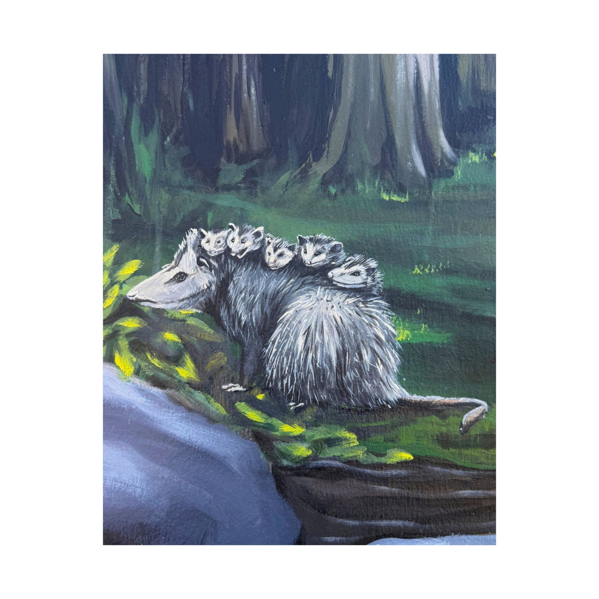 Possum Family Woodland Poster — Reflections of the Rock River Mural Prints